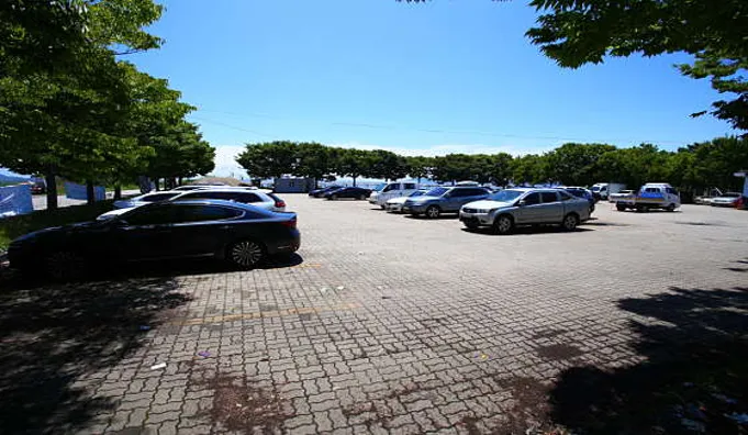 도비도