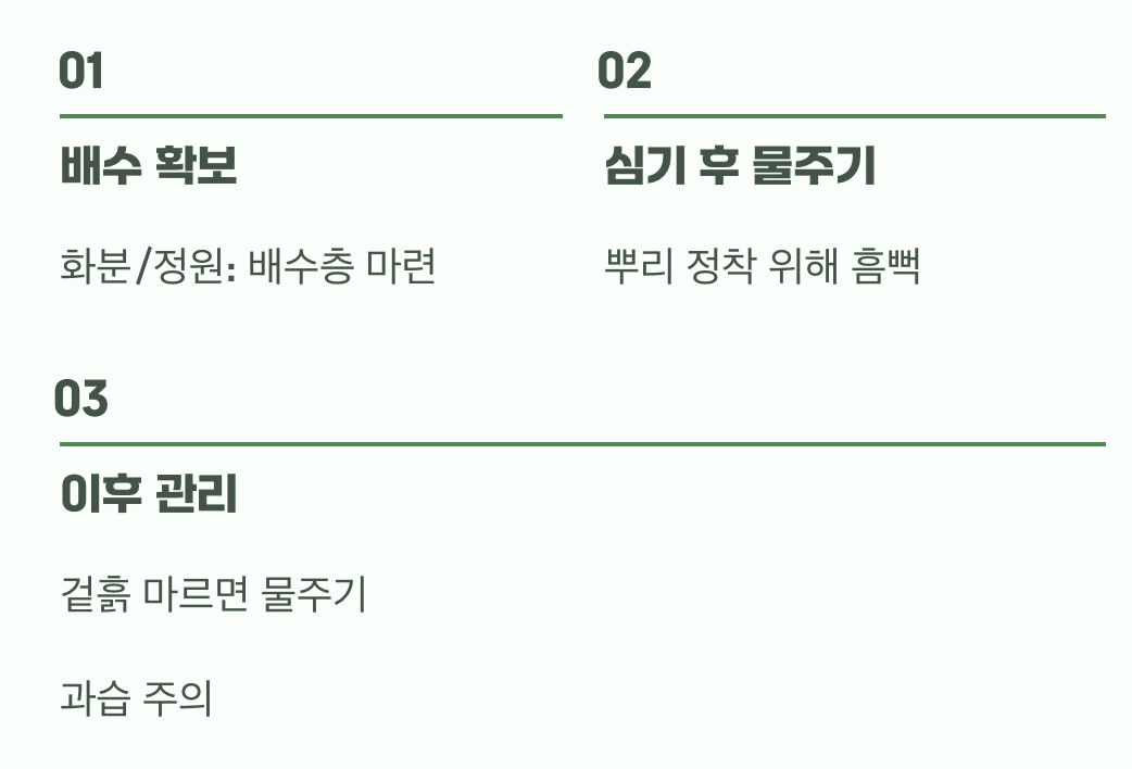 실패 없는 가을 모종 심기 꿀팁