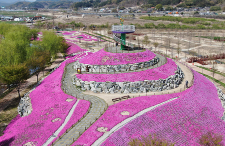 [5월 축제]창포원❘2025 거창에 온 봄 축제, 아리미아꽃축제,거창한 산양삼 축제