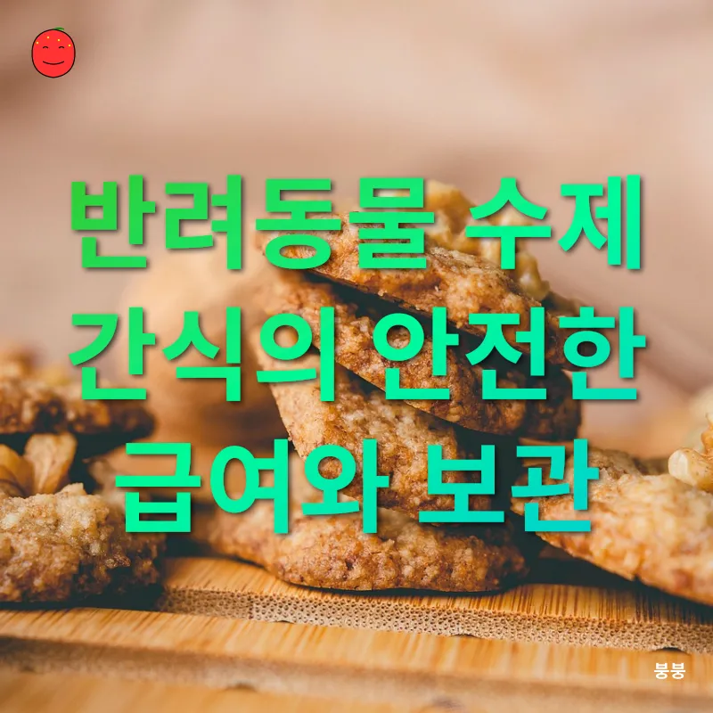 반려동물 수제간식_2