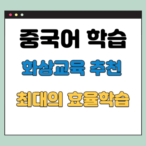 중국어 화상교육