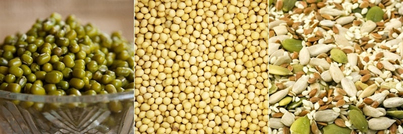 식물성 고단백질 식품 (녹두, 대두, 견과류)