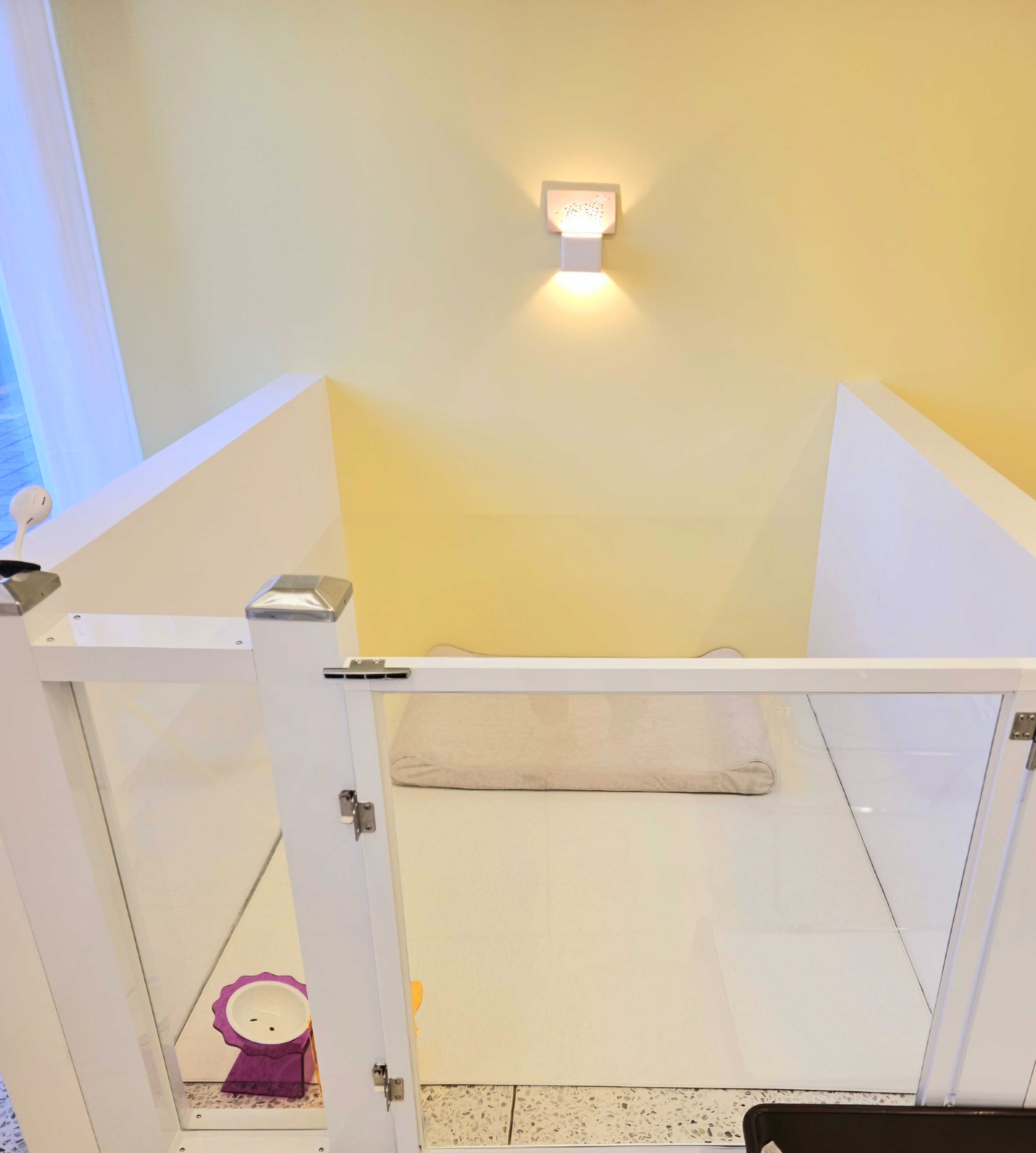 김포 사우동 애견미용 애견호텔