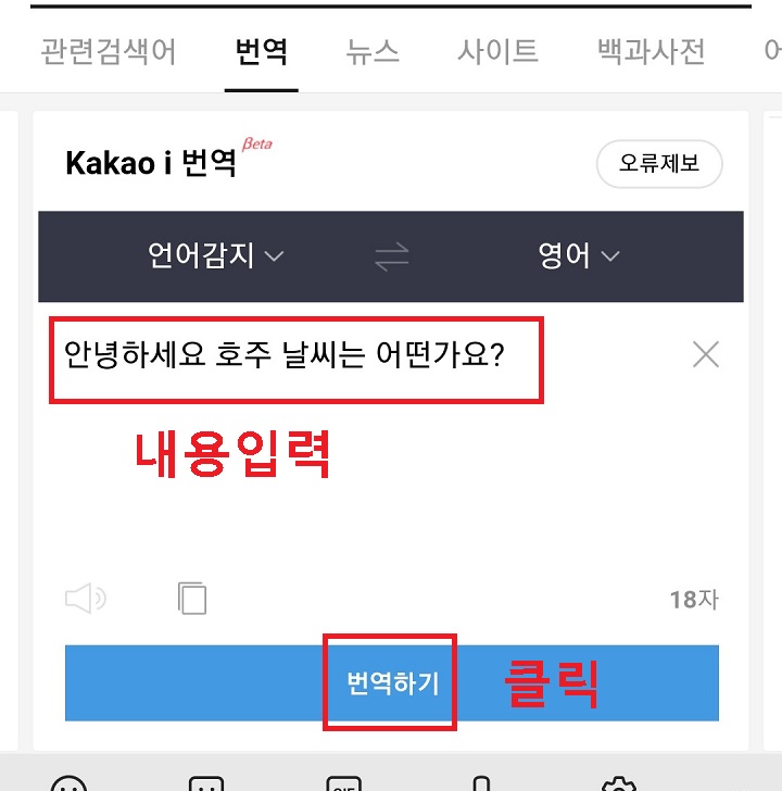 내용입력후 번역하기 클릭함