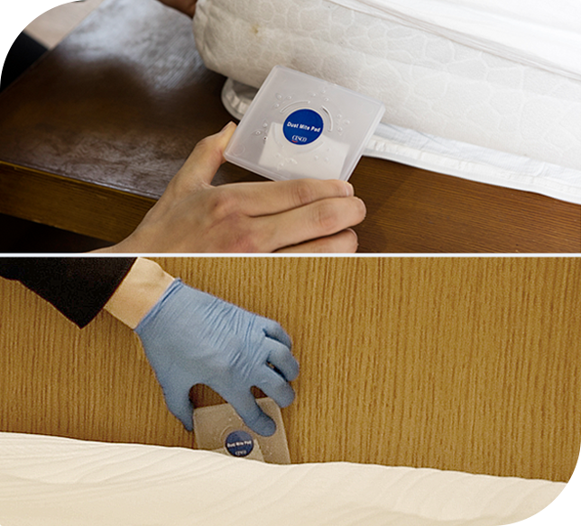 세스코 가정집 가격, 비용, 방역비용, 세스코 진드기 케어 서비스 완벽 가이드