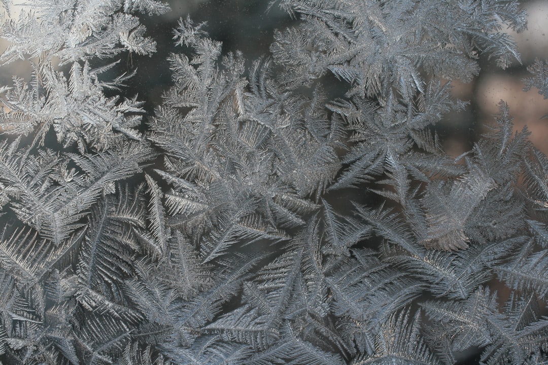 Frost