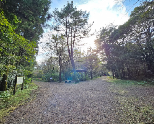 사려니숲길 삼거리