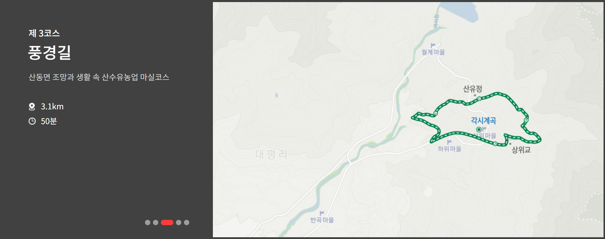 2023 구례 산수유축제 산수유길