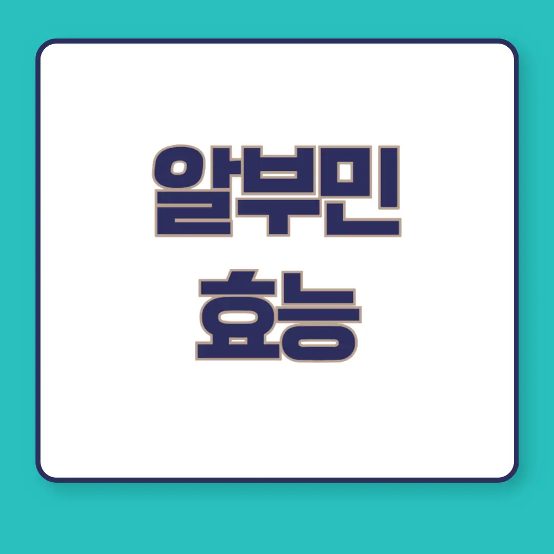 알부민-효능