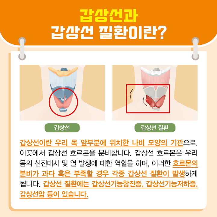 갑상선과 갑상선 질환