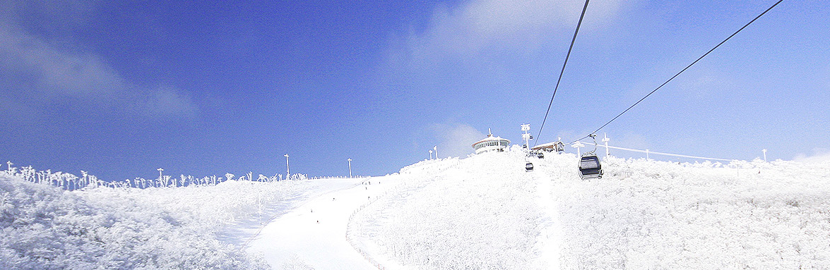 전국 스키장 개장일
