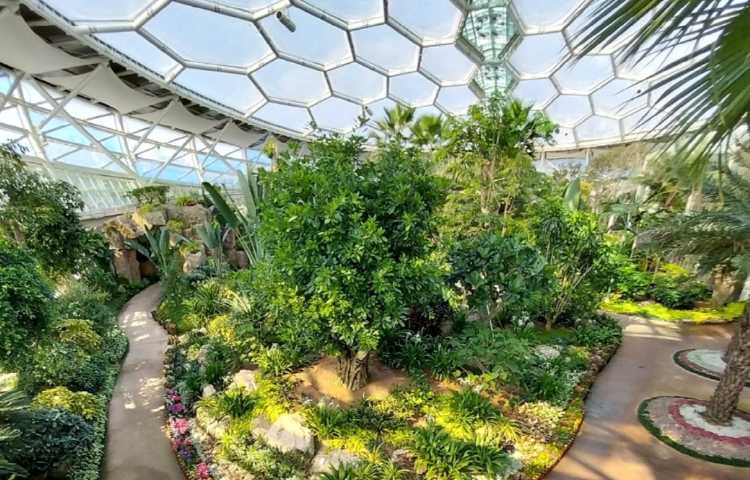 부천호수식물원 수피아