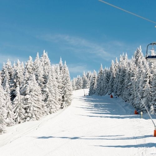 전국 스키장 개장일 2024-2025