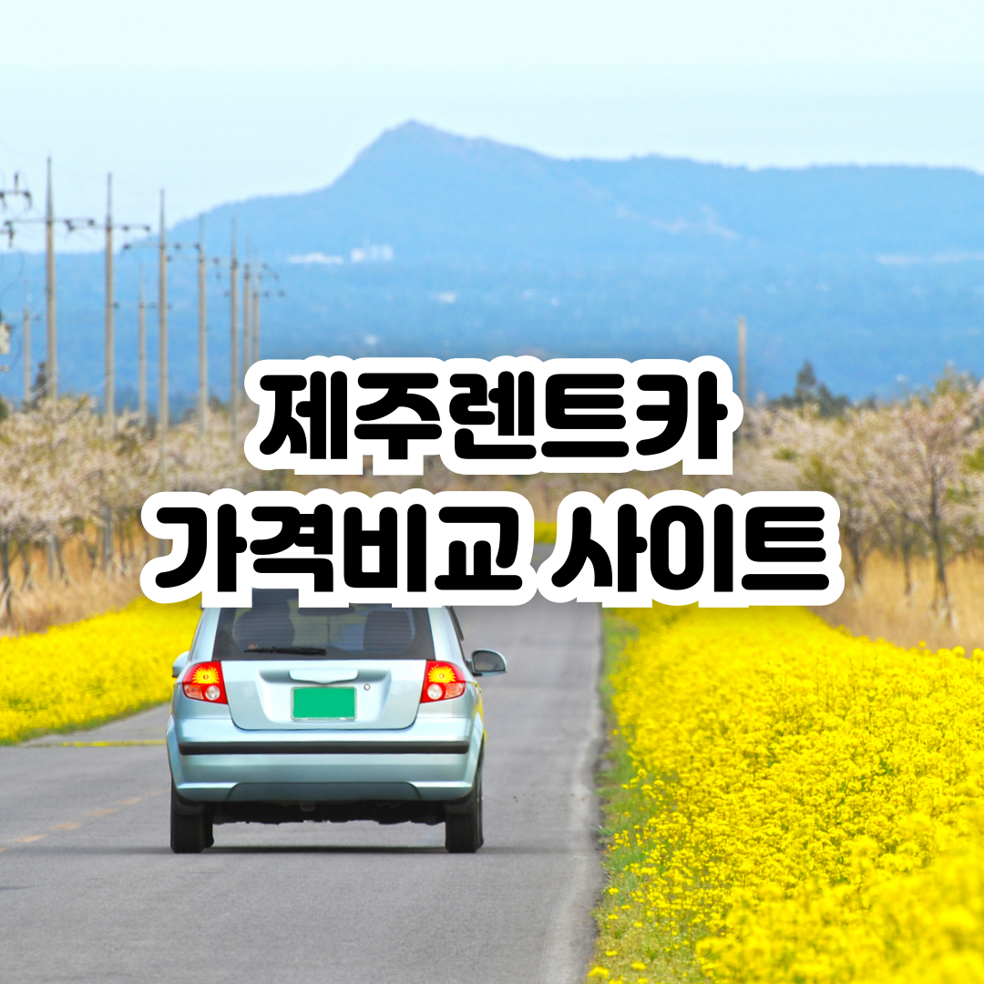 제주렌트카-가격비교-사이트