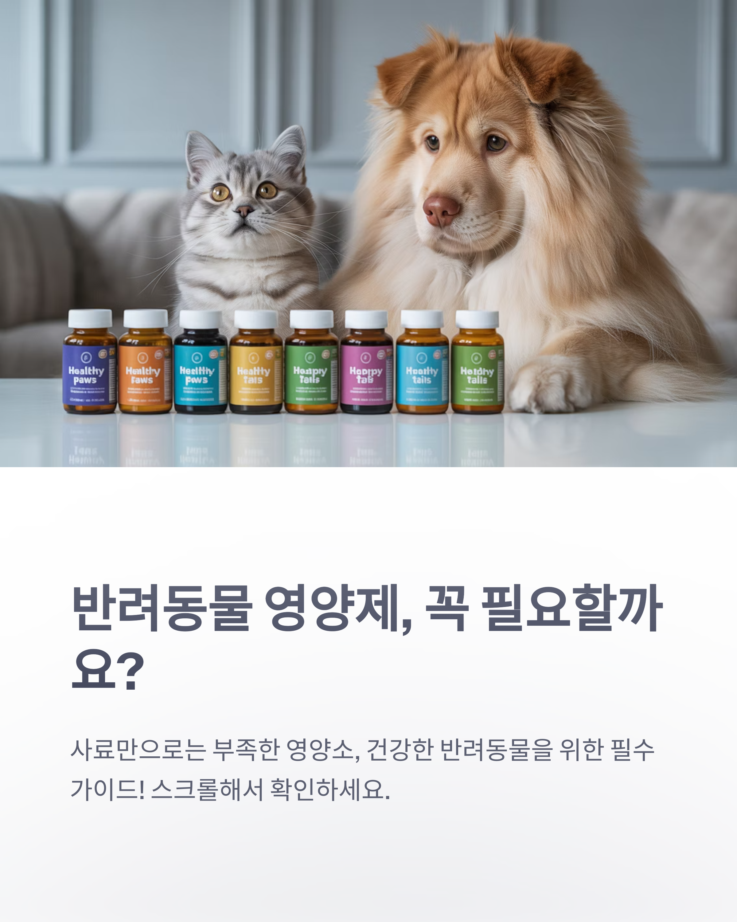 참조-반려동물-영양제-1
