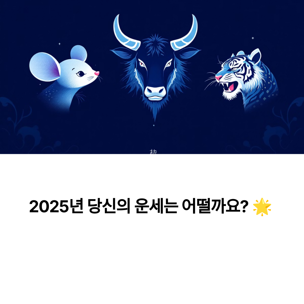 2025 쥐,소,호랑이띠 사주 운세 총정리
