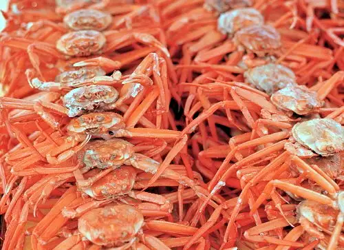 6시내고향 경북 포항 홍게 파는 곳 전국 택배 온라인 전화 주문 추천