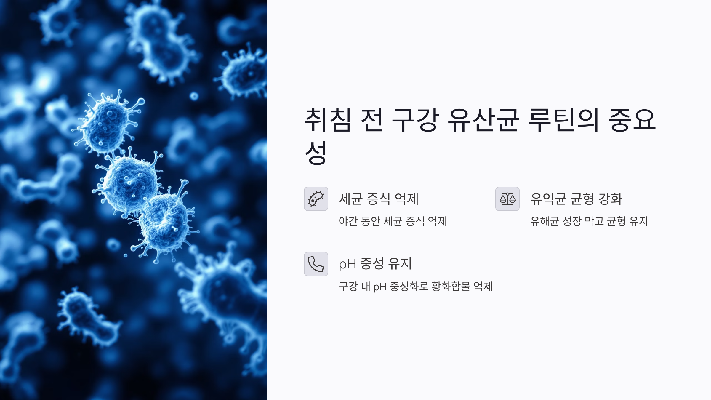 야간 세균 증식 억제 전략