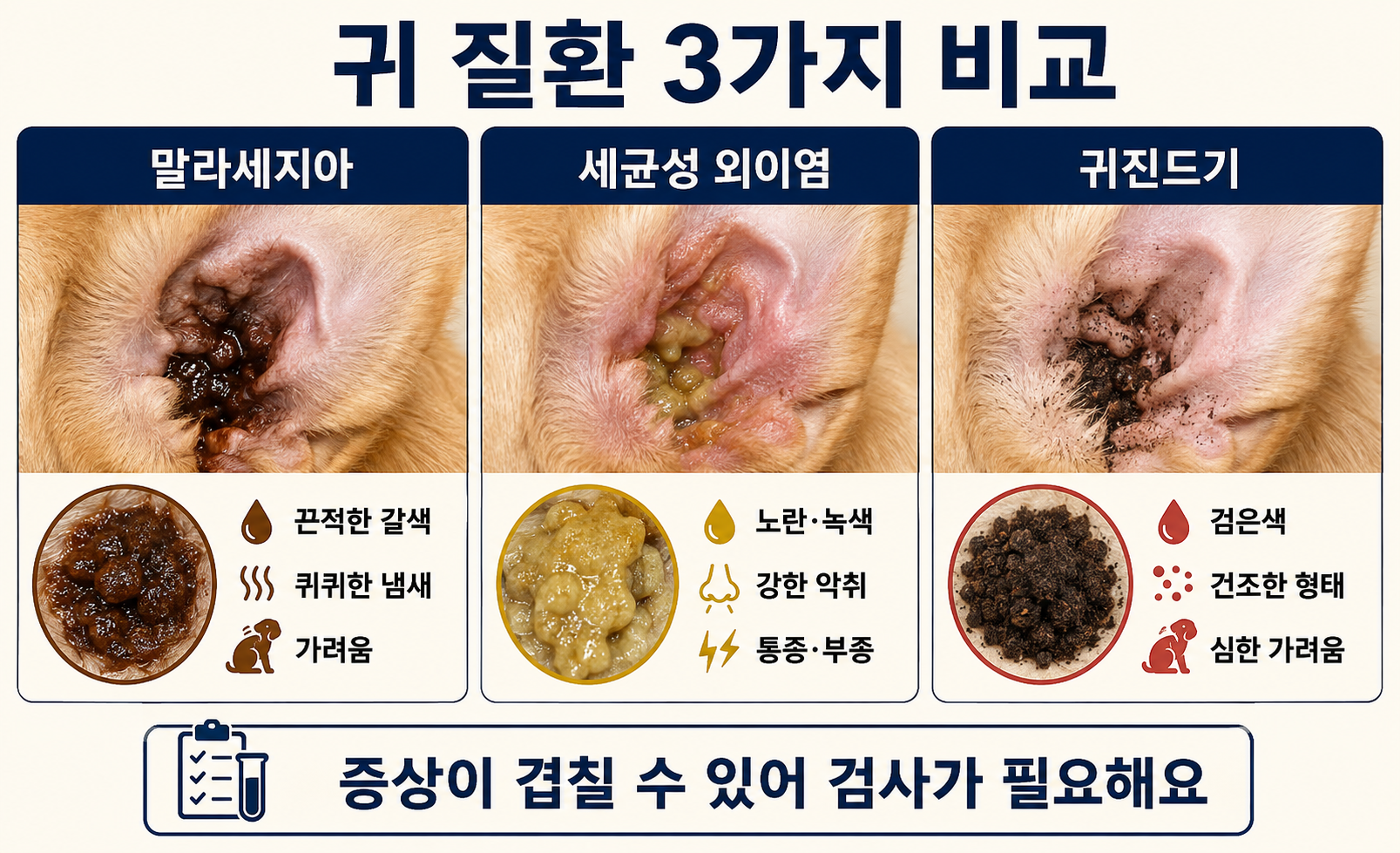강아지 말라세지아성 외이염과 세균성 외이염, 귀진드기의 귀지 형태와 증상 비교