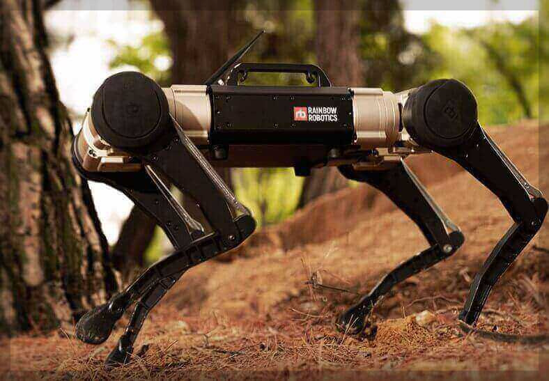 로봇 주식 추천(국내 편) 3. 레인보우로보틱스