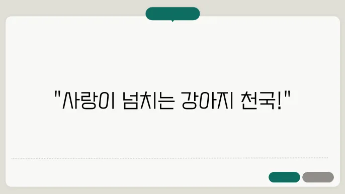 부천강아지보호소 내부