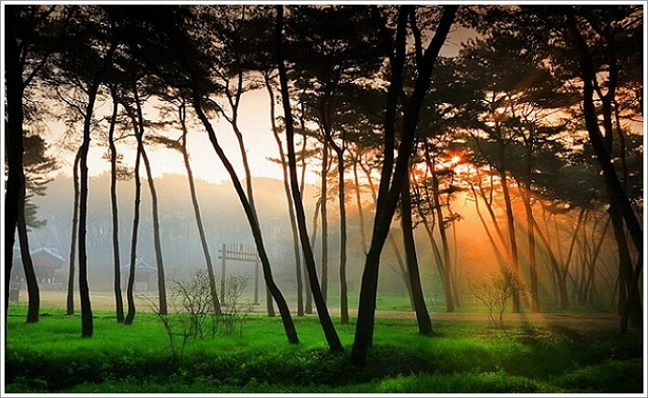 잘 알려지지 않은 국내 숨은 여행지