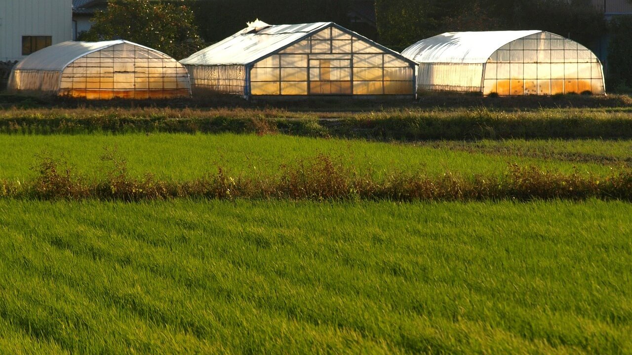 1인 여성 농가 비닐하우스 설치 지원