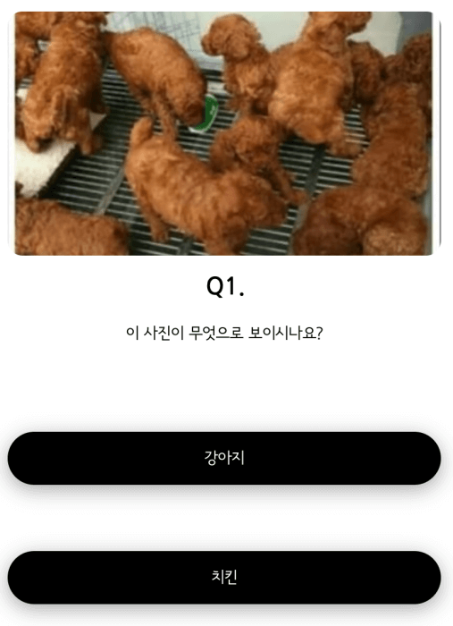 음주-테스트-질문-1