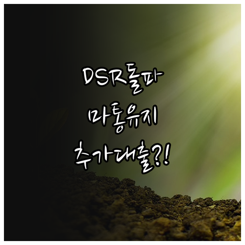 DSR 규제 속에서 마이너스통장 유지..