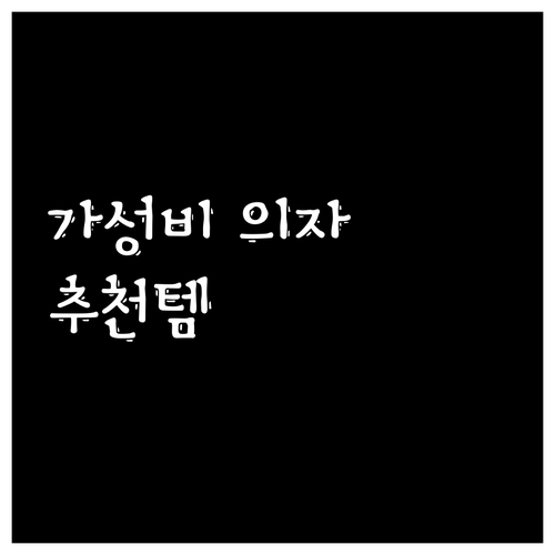 가성비 좋은 학생/사무용 의자 추천.