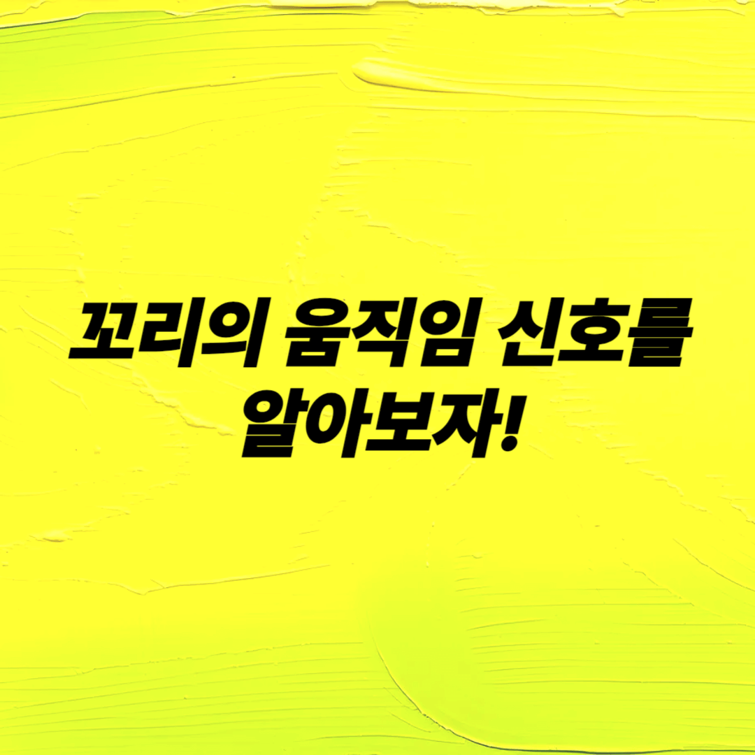 우리 집 강아지가 보내는 신호 해석하기 강아지 행동분석