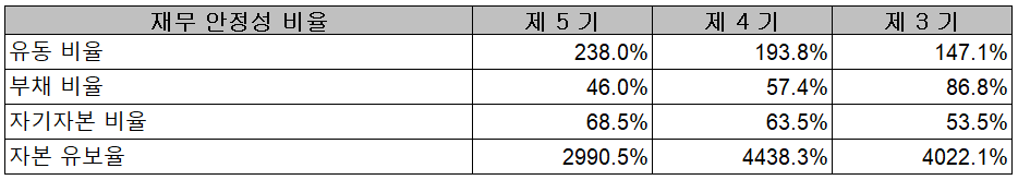 이녹스첨단소재 - 재무 안정성 비율