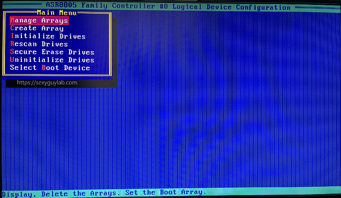 Manage Arrays 메뉴 화면