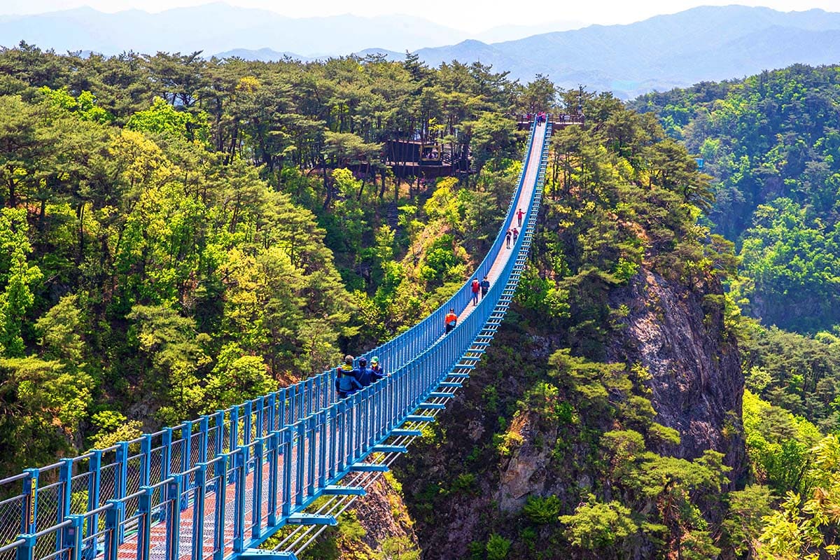 소금산 출렁다리 사진