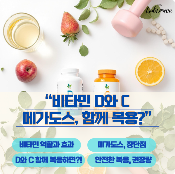 비타민_D_C_메가도스_복용
