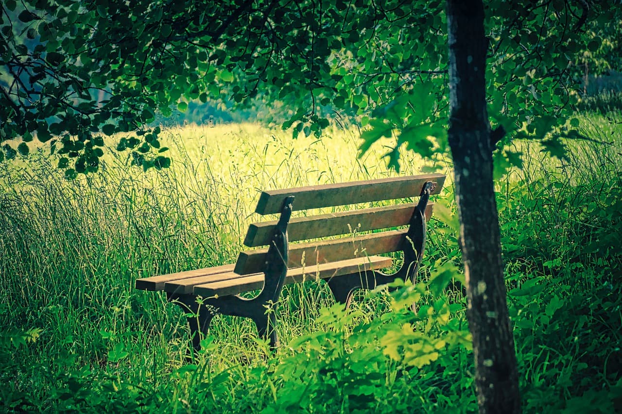 디지털 자산 관리 시작 가이드