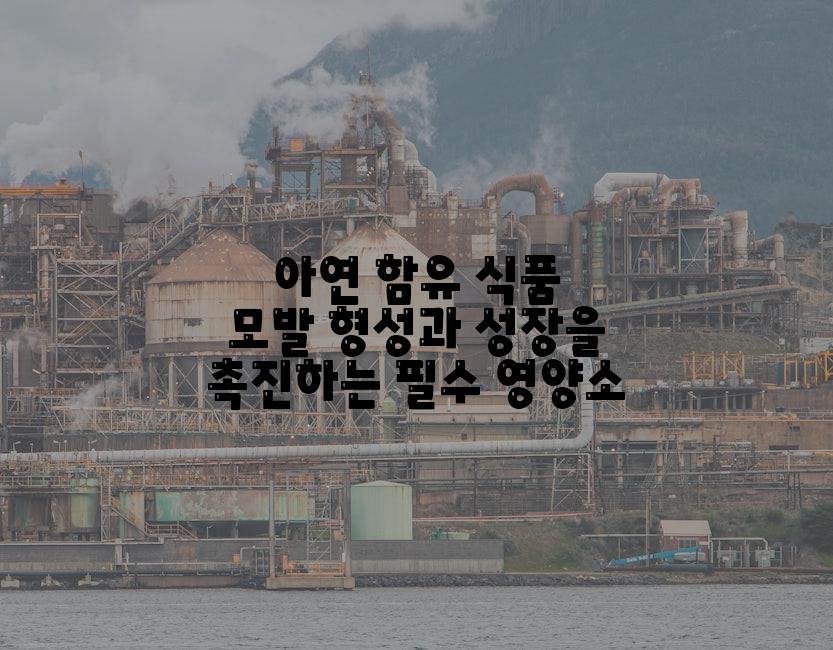 아연 함유 식품 모발 형성과 성장을 촉진하는 필수 영양소