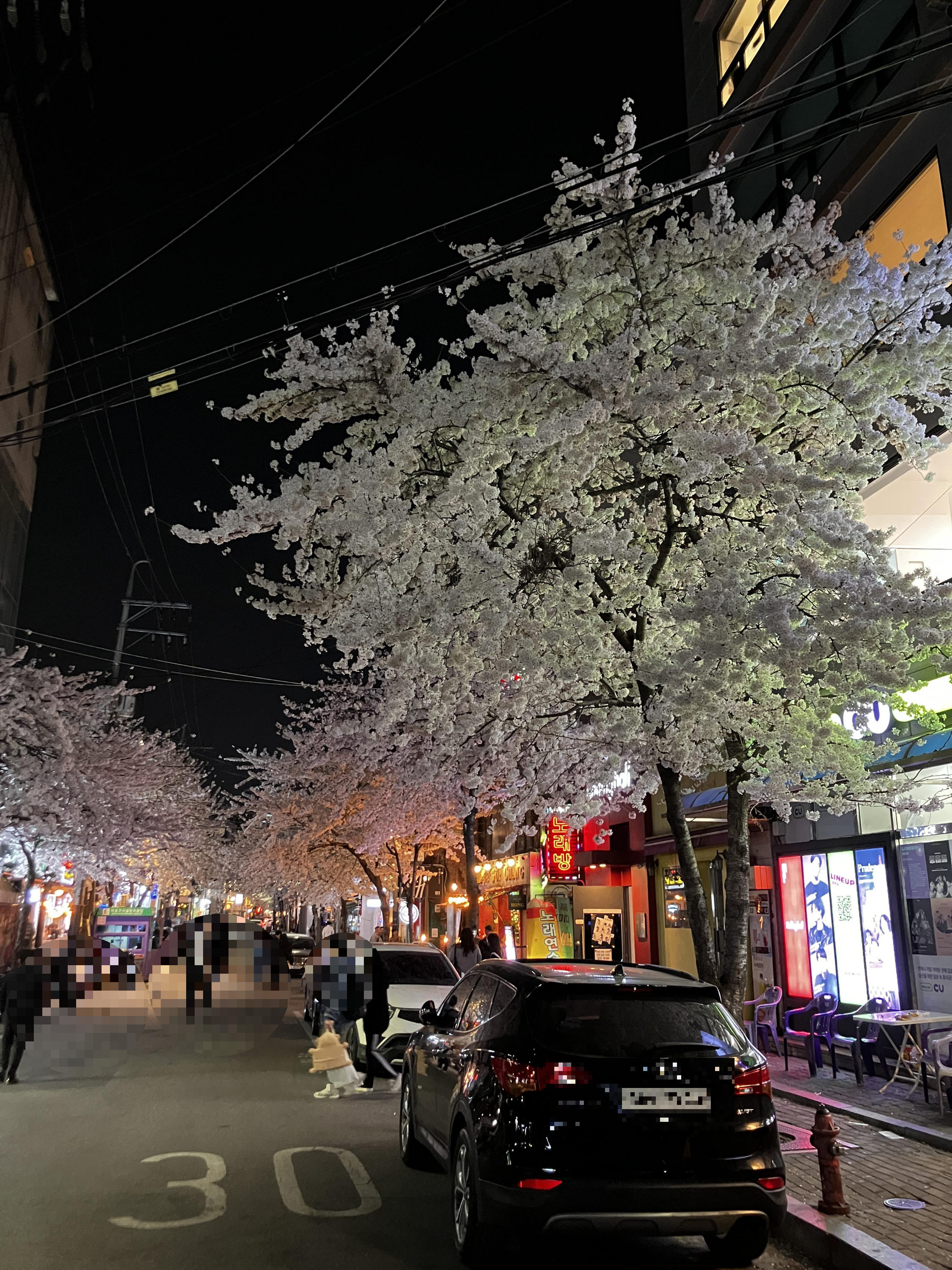 4월의 홍대 벚꽃 핀 저녁모습
