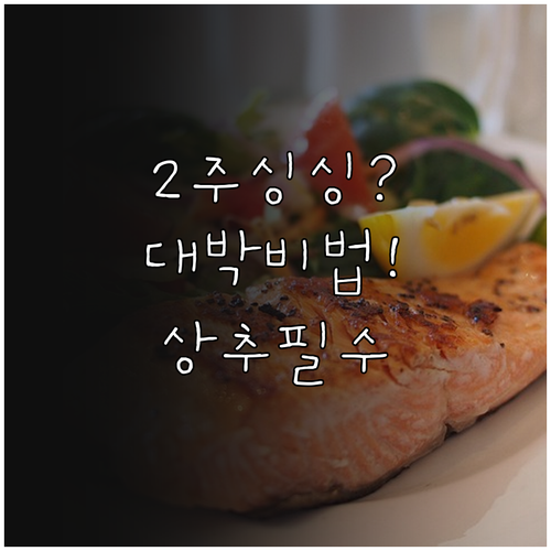 상추 보관법 총정리 2주 싱싱하게 두..