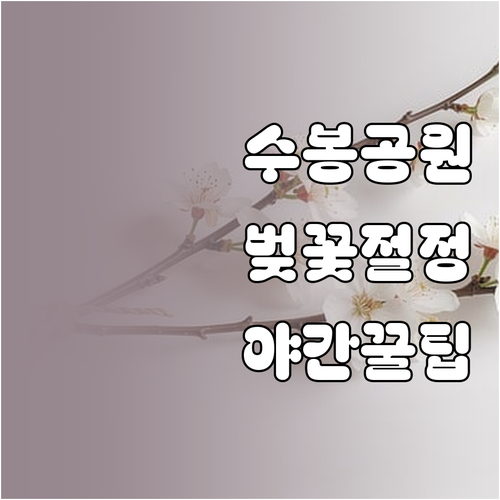 인천 미추홀구 벚꽃 개화 시기 및 수..