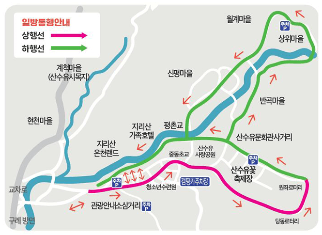구례 산수유축제