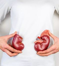우엉차 효능 말린 볶은 우엉차 영양성분 부작용 칼로리