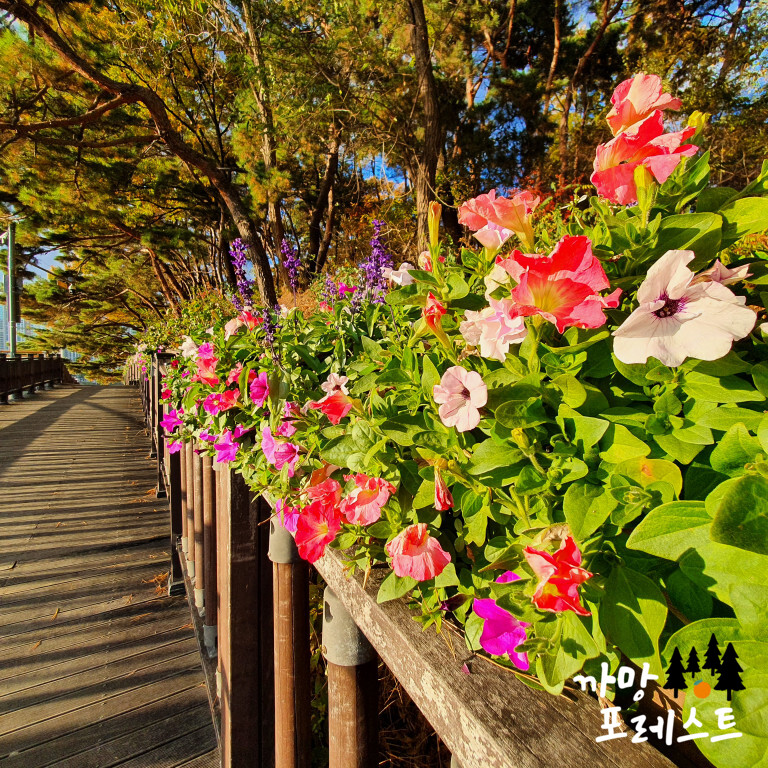 광교호수공원 산책로