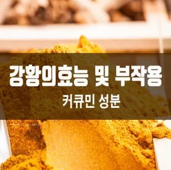 강황가루 효능 건강효과 및 활용방법 정리_6