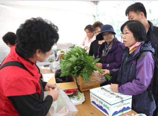 홍천 산나물 축제