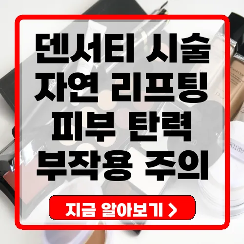 덴서티 고주파 시술