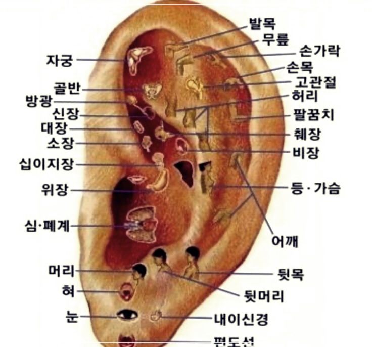 귀 먹먹할 때 지압법으로 해결하는 방법