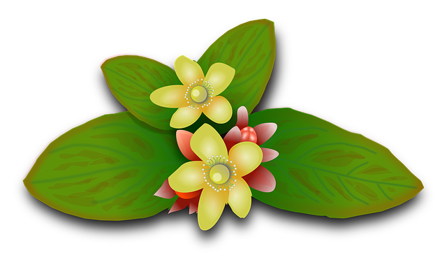 백내장 수술후 시력회복 기간 3