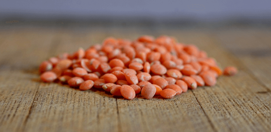 여러 가지 렌틸콩 사진 - 55