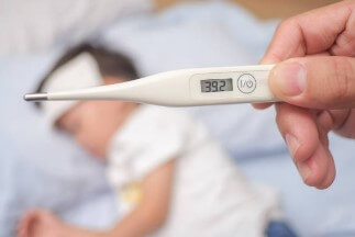 프로 폴리스 감기